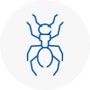Ant Removals In Filey