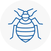 Bed Bug Extermination In Filey