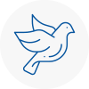 Bird Prevention Filey