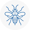 Filey Hornet Nest Removals