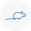 Mice Exterminators In Filey
