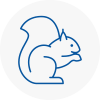 Filey Rodent Removals